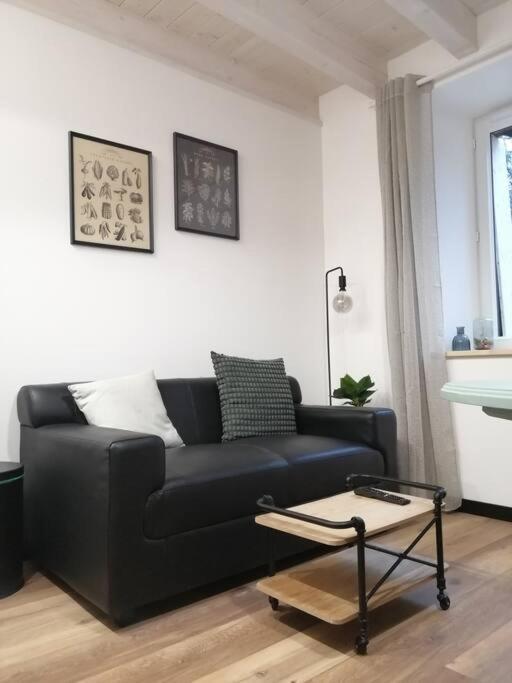 Appartement Studio Aux Granges Du Vilaret à Clairvaux-les-Lacs Extérieur photo