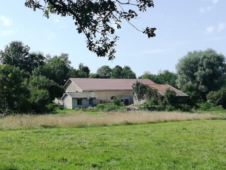 Appartement Studio Aux Granges Du Vilaret à Clairvaux-les-Lacs Extérieur photo